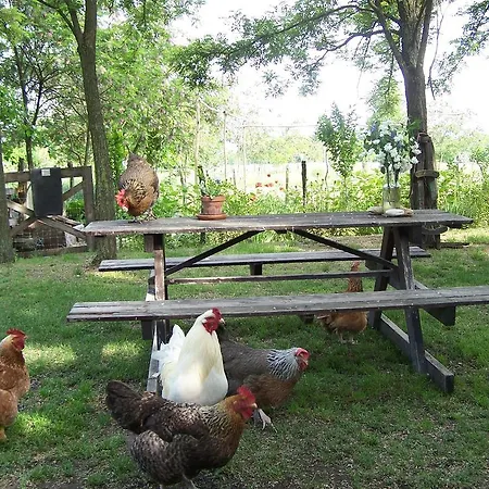 Chy-kara Farm Camping *