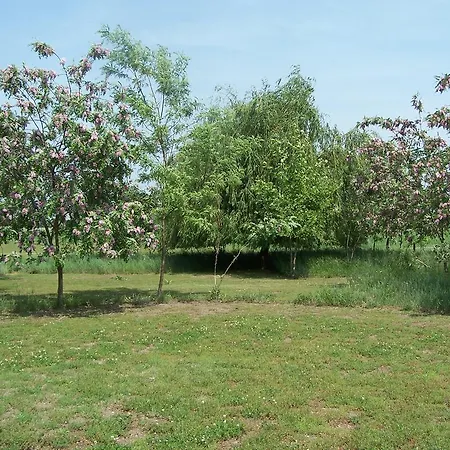 住宿加早餐酒店 Chy-kara Farm Camping Pálmonostora